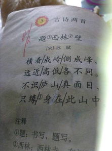 3字詩(shī)句古詩(shī)大全