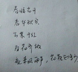 一句,詩(shī)句,概括,吳孟超