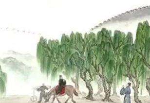 詩(shī)句,折柳曲