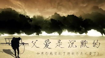 關(guān)于寫(xiě)懷念父親的詩(shī)句