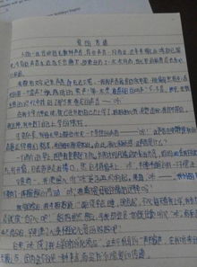怎樣寫(xiě)母愛(ài)的作文開(kāi)頭,寫(xiě)母愛(ài)的作文開(kāi)頭初中,寫(xiě)母愛(ài)作文開(kāi)頭和結尾