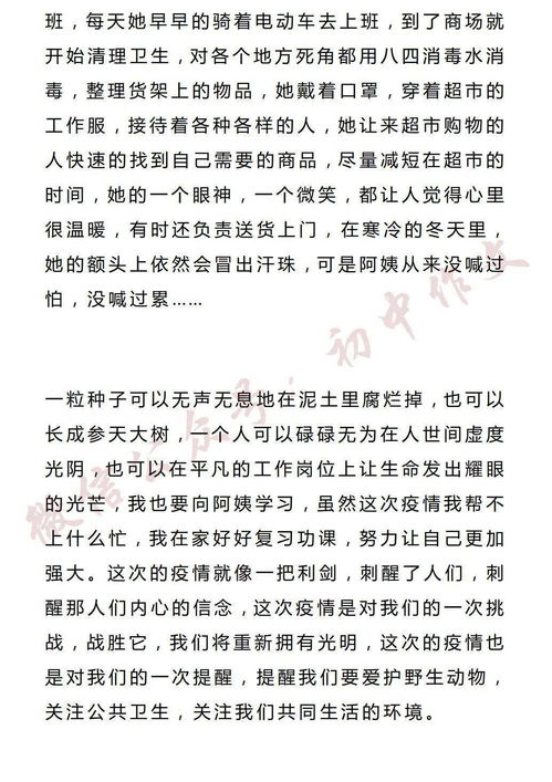 平凡與不平凡作文開(kāi)頭