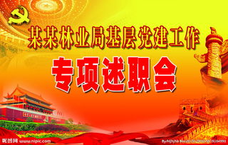 抓黨建專(zhuān)項述職報告,黨建述職報告范文(抓黨建專(zhuān)項述職報告范文(2))