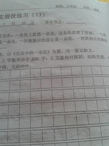 有關(guān)我生活中一朵花的作文開(kāi)頭