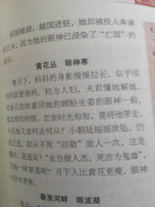 影響影響作文開(kāi)頭怎么寫(xiě)