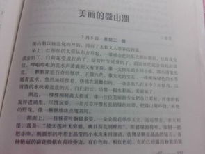 愛(ài)的意外記敘文600字作文開(kāi)頭和結(jié)尾