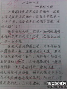 記敘作文該如何開(kāi)頭