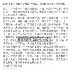 那一次成功的嘗試的作文開(kāi)頭結尾