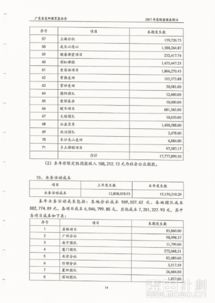 公司財(cái)務(wù)審計(jì)報(bào)告(公司財(cái)務(wù)收支審計(jì)報(bào)告)