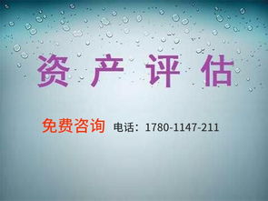 無(wú)形資產(chǎn)評(píng)估報(bào)告(無(wú)形資產(chǎn)評(píng)估報(bào)告)
