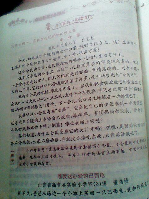 四級動(dòng)物同學(xué)開(kāi)頭怎么寫(xiě)作文