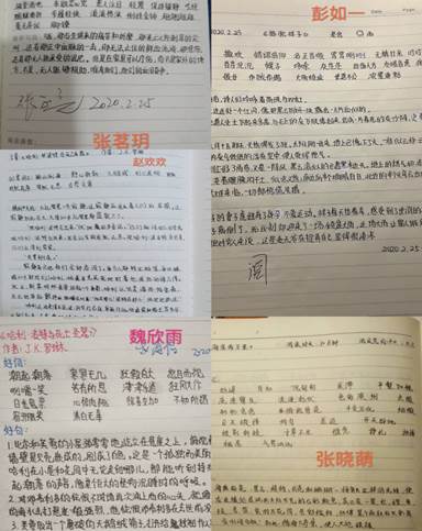 被忽視的......作文開(kāi)頭