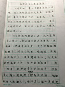 品嘗愛(ài)的滋味作文開(kāi)頭題記形式