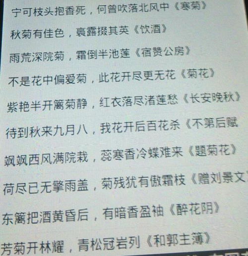 有關(guān)于菊花古詩(shī)開(kāi)頭的作文