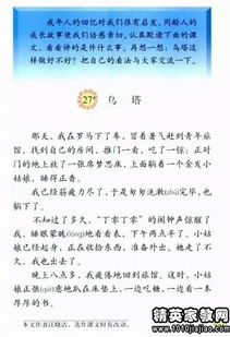 關(guān)于小學(xué)調(diào)查報(bào)告范文(小學(xué)關(guān)于近視調(diào)查報(bào)告)
