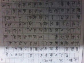 這是我的承諾600字記敘文作文開頭