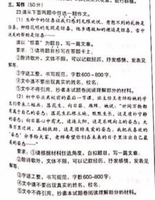 以生日驚喜為題的作文600字作文開頭