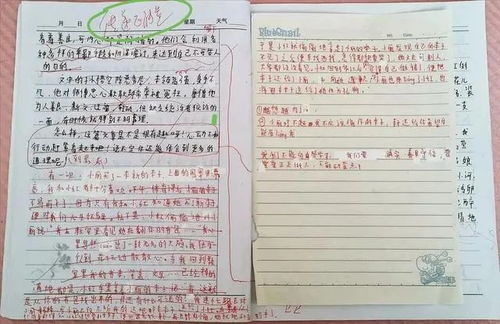 懷疑的甜頭作文開(kāi)頭