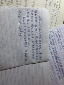 以粗心作文開(kāi)頭