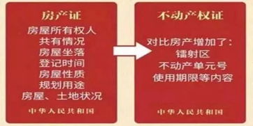 不動(dòng)產(chǎn)權號是幾位數編號(不動(dòng)產(chǎn)權編號是幾位數)