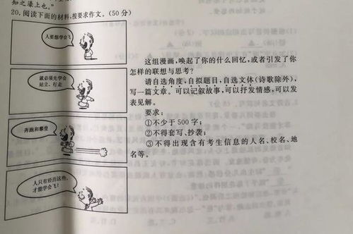生活中付出得到收獲的作文五百字作文開(kāi)頭
