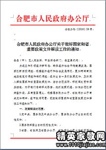 政府工作整改報告(整改報告)