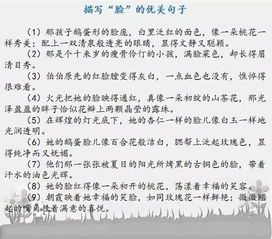 父愛(ài)優(yōu)美開(kāi)頭結尾摘抄作文