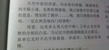 媽媽的愛(ài)開(kāi)頭排比句作文