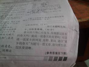 描寫(xiě)春天美麗的景色的作文400字,有關(guān)春天美麗景色的作文評語(yǔ),描寫(xiě)春天美麗景色的作文
