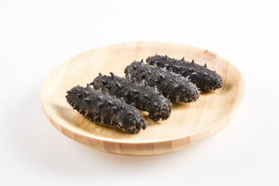 海參的簡(jiǎn)介 海參的做法(海參的做法大全)
