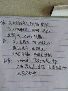 引用諺語(yǔ)古詩(shī)俗語(yǔ)開(kāi)頭的作文