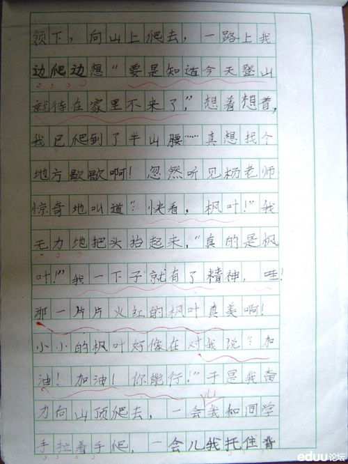 我的新體驗(yàn)登山作文開頭