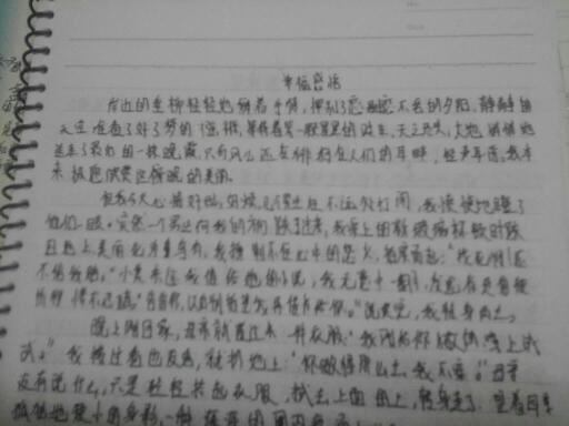 描寫真實(shí)情感的作文怎么寫,關(guān)于情感的開頭和結(jié)尾作文怎么寫,情感的作文怎么寫