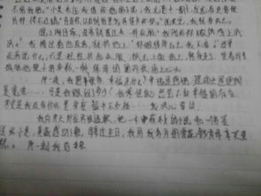 作文,開頭,真實(shí),情感