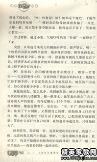 運動會給我的鼓勵作文開頭結(jié)尾