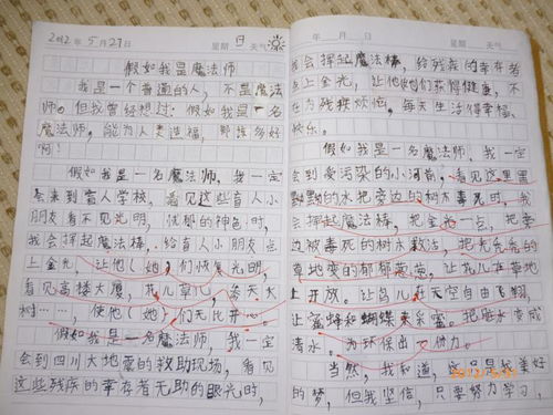 成功人是的經(jīng)歷的作文開(kāi)頭