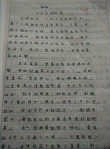 拾起的母愛(ài)的點(diǎn)滴作文開(kāi)頭