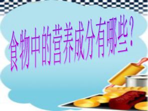 小學(xué)關(guān)于營(yíng)養的課件(關(guān)于小學(xué)課件)
