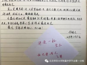 以夢為馬不負韶華的作文開頭句