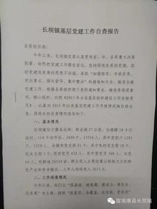 路線(xiàn)教育自查整改報告(醫保自查整改報告 )