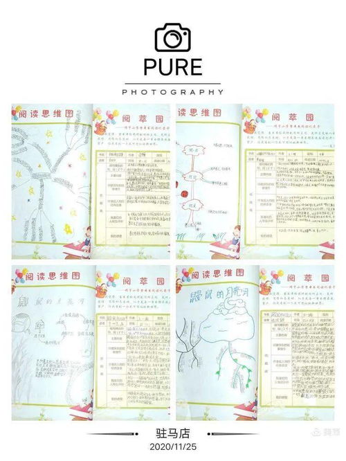 文明活動(dòng)作文600字作文開(kāi)頭怎么寫