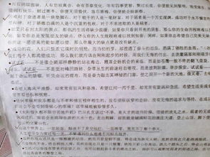 作文800字優(yōu)美開(kāi)頭