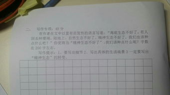 初二我的偶像作文開(kāi)頭
