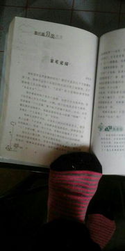 關(guān)于動物的作文600字高中作文開頭