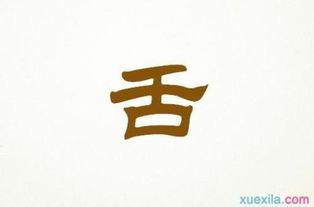 五級(jí)下作文開頭與結(jié)尾怎么寫
