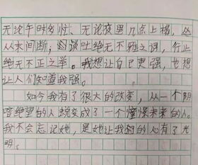 第一次種洋芋作文開(kāi)頭