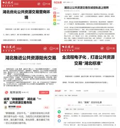 政務(wù)公開(kāi)政務(wù)服務(wù)工作調研報告(人事政務(wù)公開(kāi)調研報告)