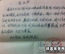借用公章承諾書(shū)(公章承諾書(shū))