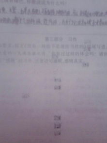 我最感激的人寫(xiě)一篇作文的開(kāi)頭