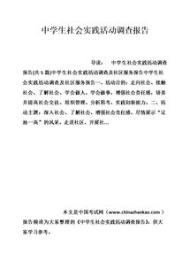 高中學(xué)生社會(huì )實(shí)踐報告范文(高中學(xué)生個(gè)人社會(huì )實(shí)踐報告范文)